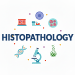 Histopathology Illustration